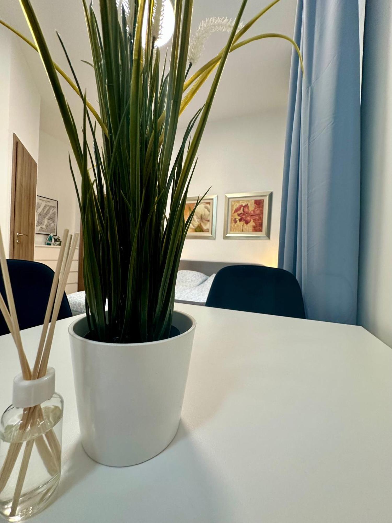 בודפשט Cozy Centre Apartments מראה חיצוני תמונה